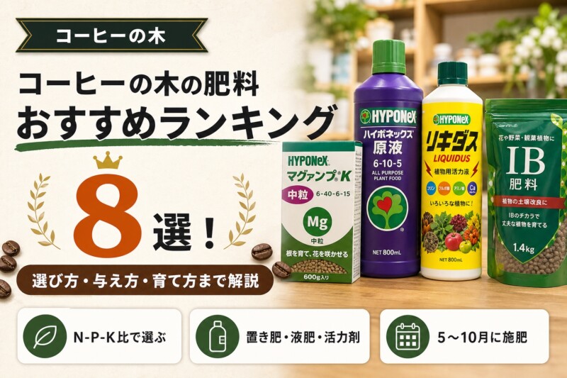 コーヒーの木の肥料 おすすめランキング8選 アイキャッチ