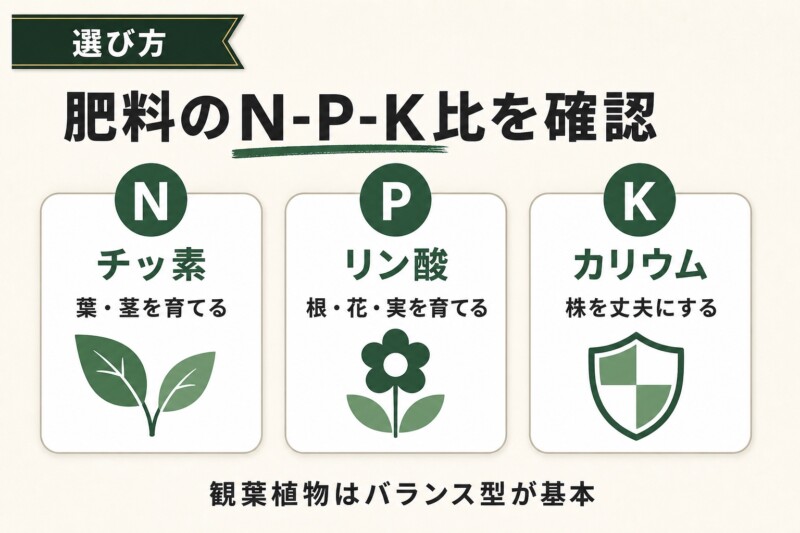コーヒーの木の肥料 N-P-K比の選び方
