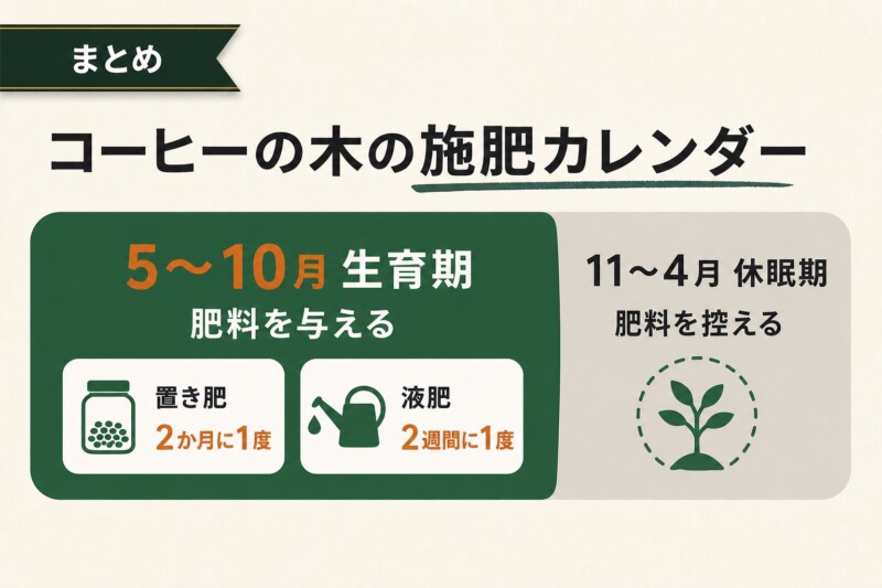 コーヒーの木の年間施肥カレンダー
