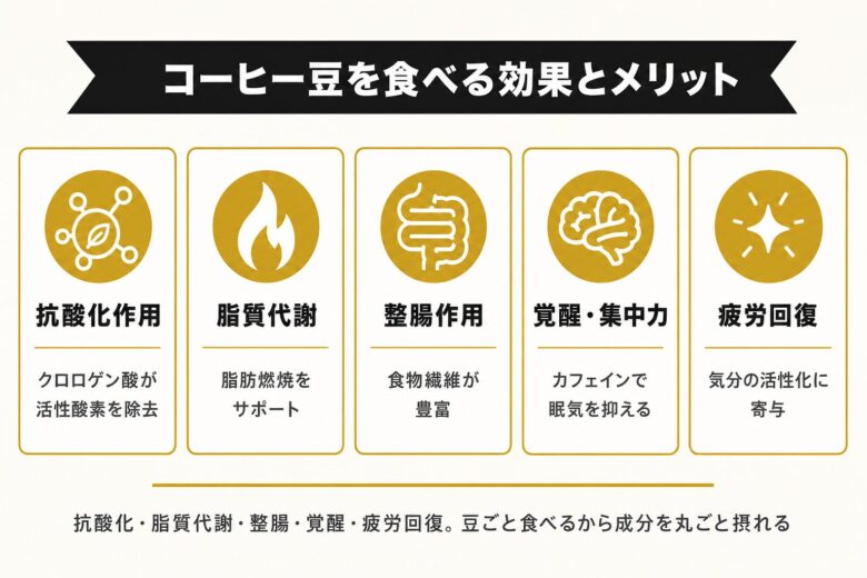 コーヒー豆を食べることの基本知識とメリット