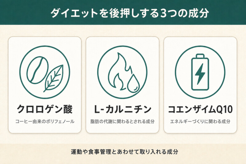 ダイエットを後押しする3つの成分