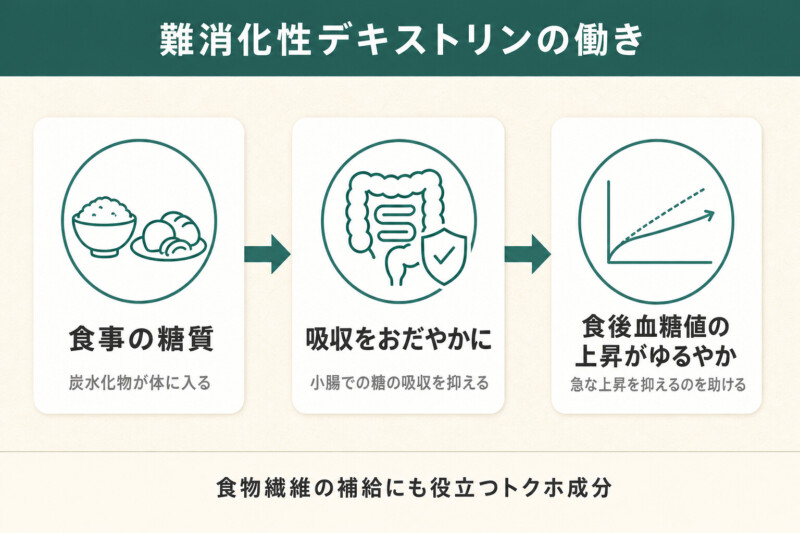 難消化性デキストリンの働き