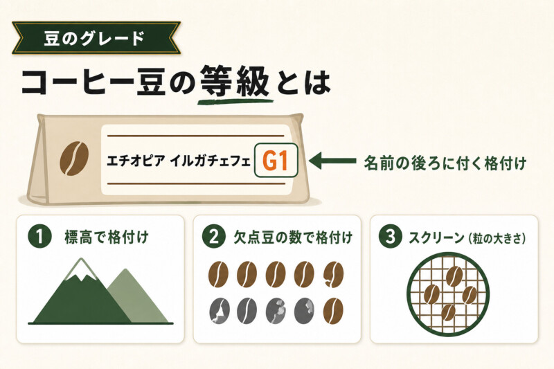 コーヒー豆の等級・グレードとは