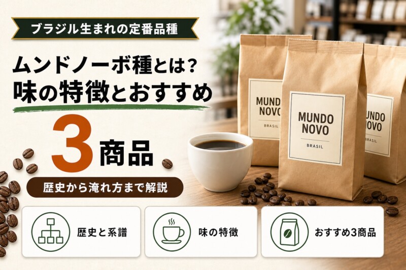 ムンドノーボ種とは？味の特徴とおすすめ3商品