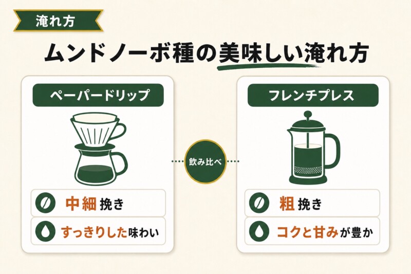 ムンドノーボ種の美味しい淹れ方