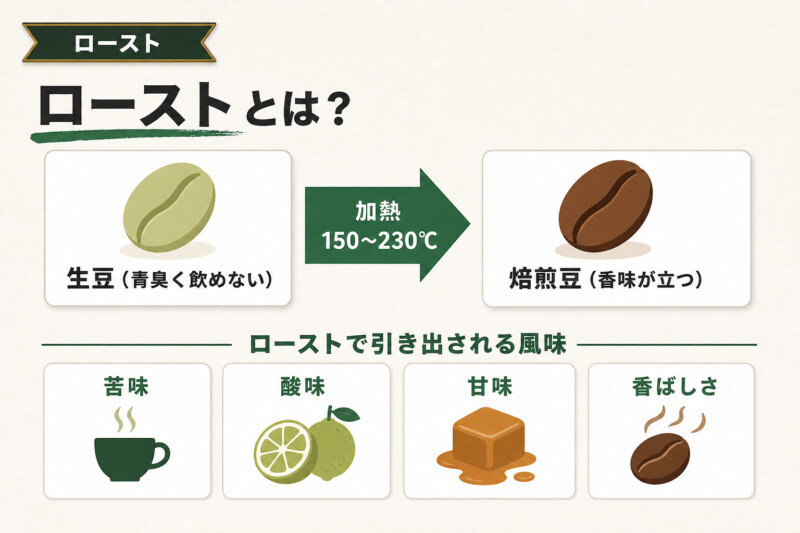コーヒーのロースト（焙煎）とは？