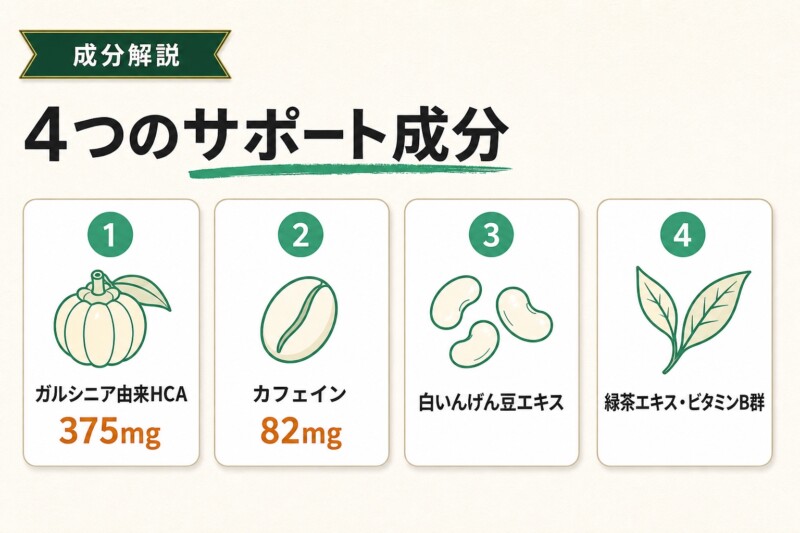 シクテンコーヒーの4つのサポート成分の図解