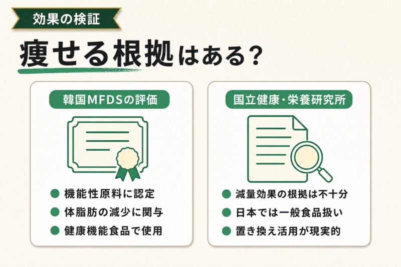 シクテンコーヒーの効果の科学的根拠を検証する図解