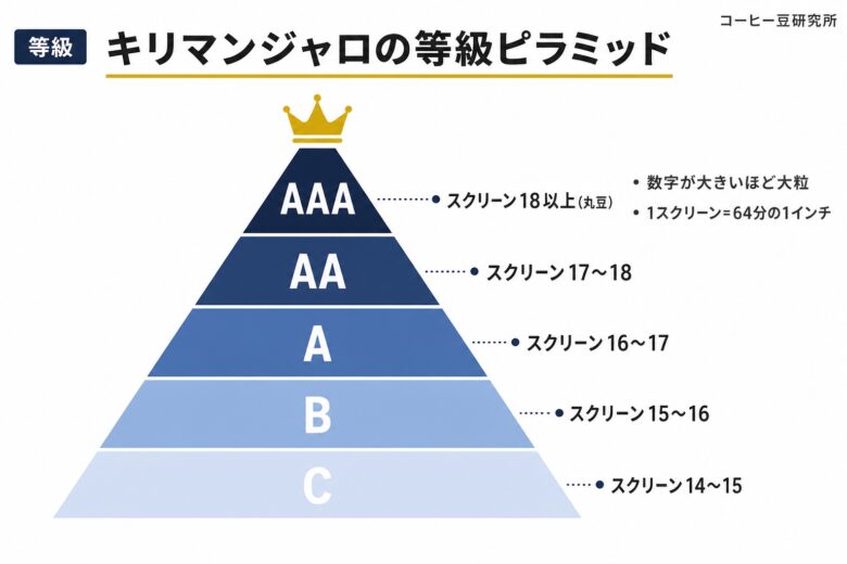 キリマンジャロコーヒーの等級とAA・AAAの格付け