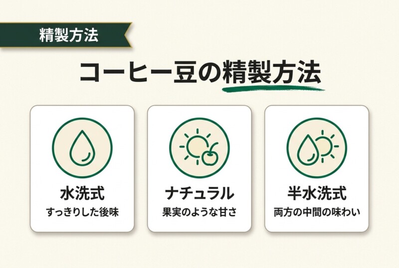 コーヒー豆の精製方法