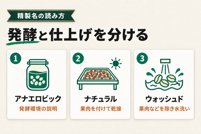 アナエロビックとナチュラル・ウォッシュドの違い。発酵環境と果肉の処理を分けて読む