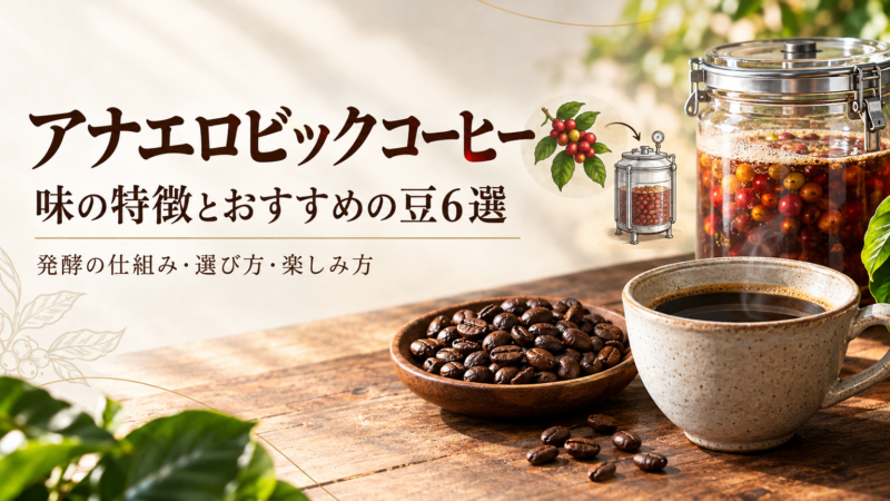 アナエロビックコーヒーとは？味の特徴とおすすめの豆6選
