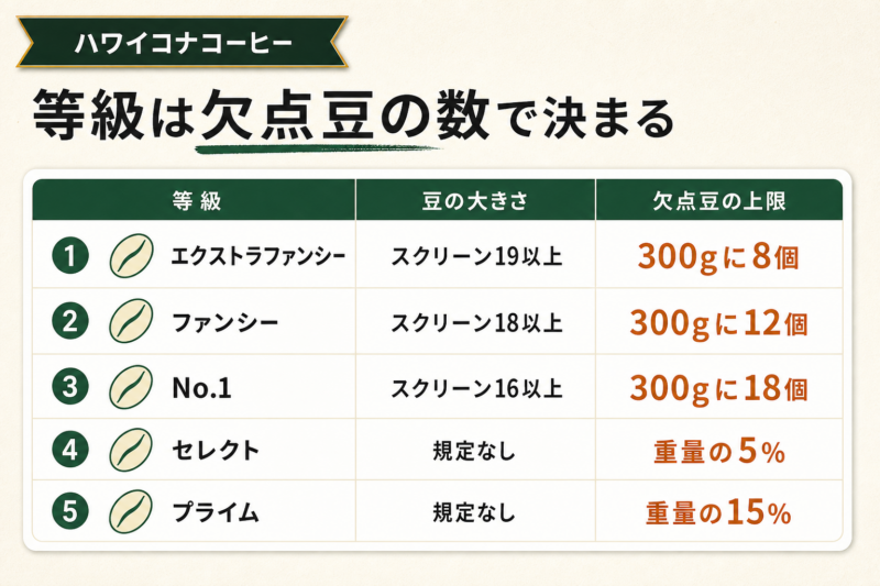 等級(グレード)で選ぶ