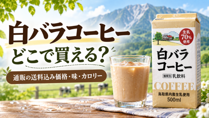 白バラコーヒーはどこで買える？通販の送料込み価格と味・カロリー アイキャッチ