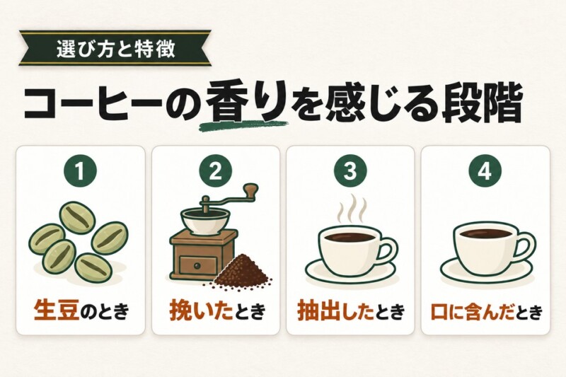 コーヒーの香りは4段階に分けられる