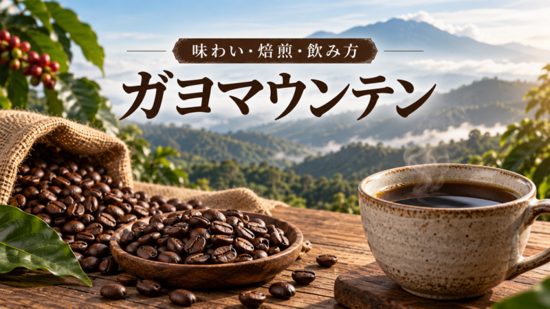 ガヨマウンテン 味わい・焙煎・飲み方 アイキャッチ