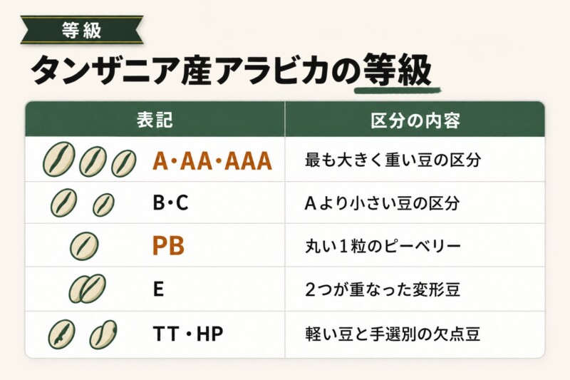 キリマンジャロコーヒーの等級とは?AA・PBの区分